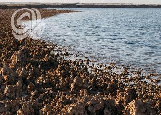 الأنشطة البشرية والتغير المناخي يقضيان على بحيرة ساوة العراقية